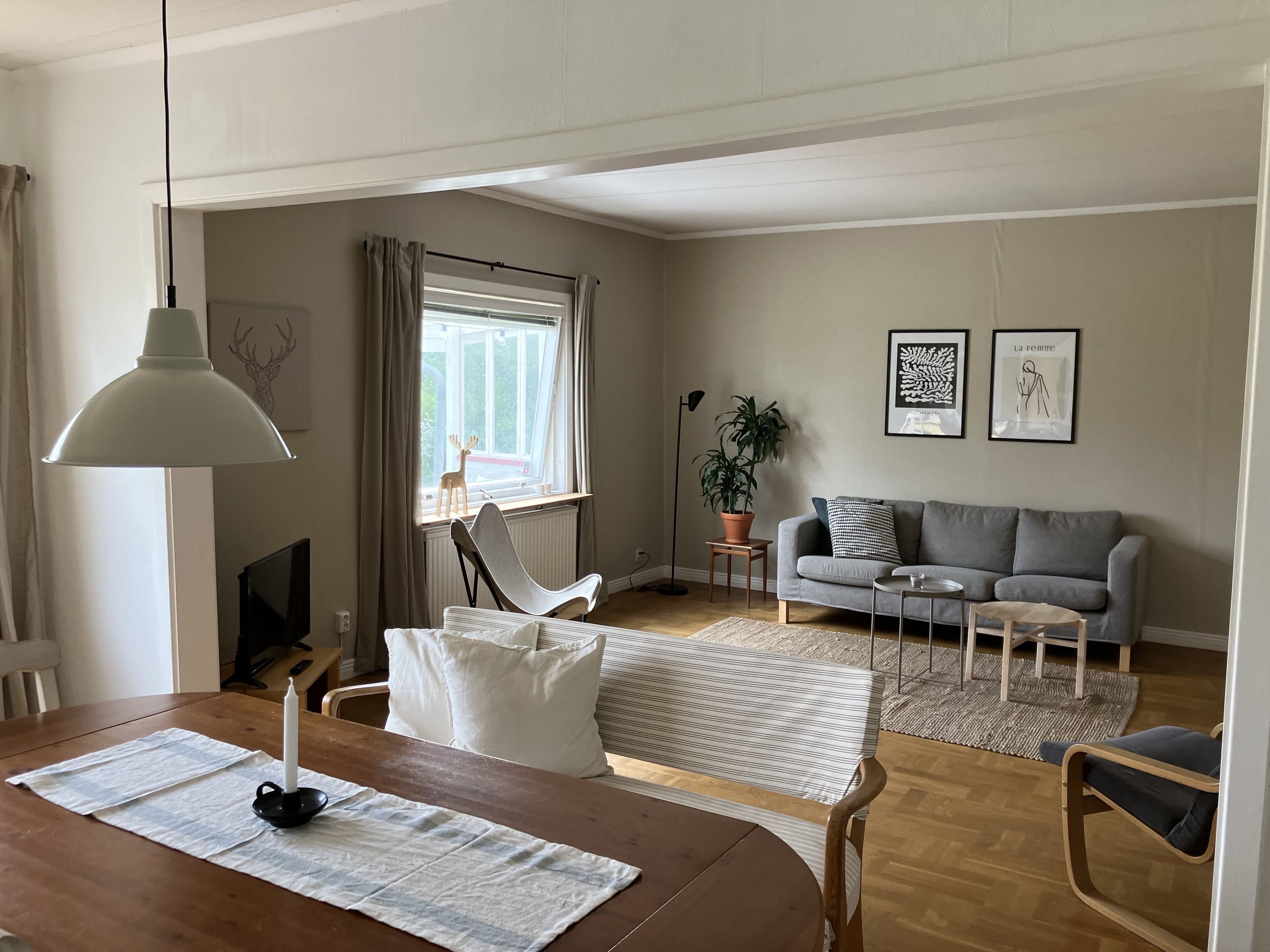 Una televisión, un reproductor de DVD, libros, un reproductor estéreo