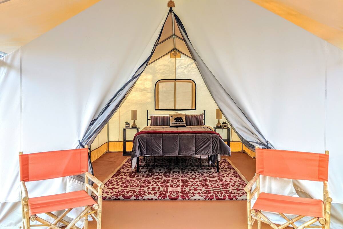 Een tent met een bed, twee houten stoelen, een kamerkleed met dessin en een raam.