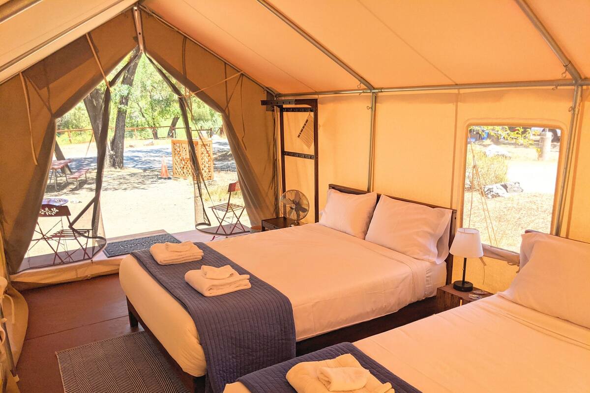Een tent met twee bedden, een ventilator en uitzicht op de natuur.