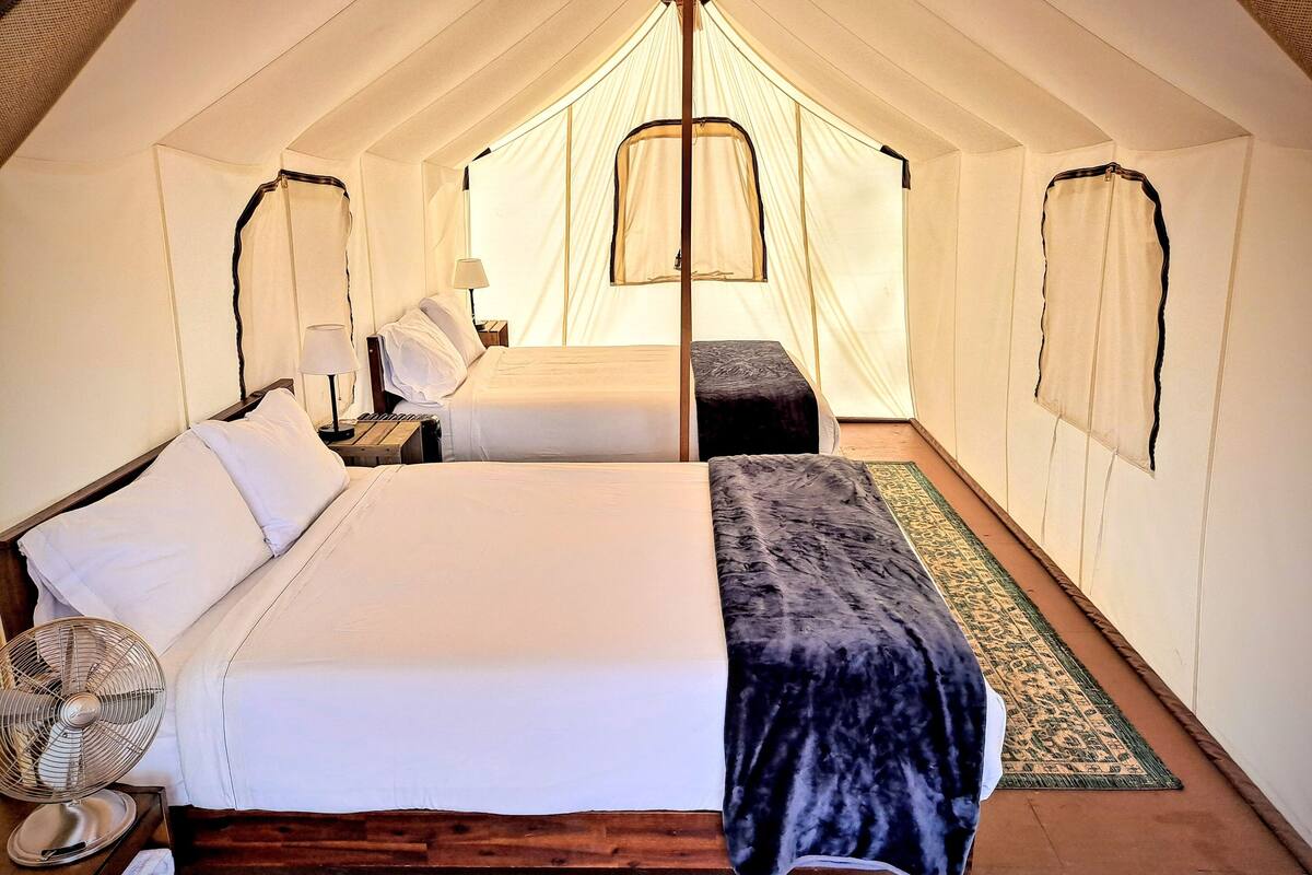 Een tentaccomodatie met twee bedden, elk voorzien van witte lakens, een ventilator en een klein tafeltje met een lamp.