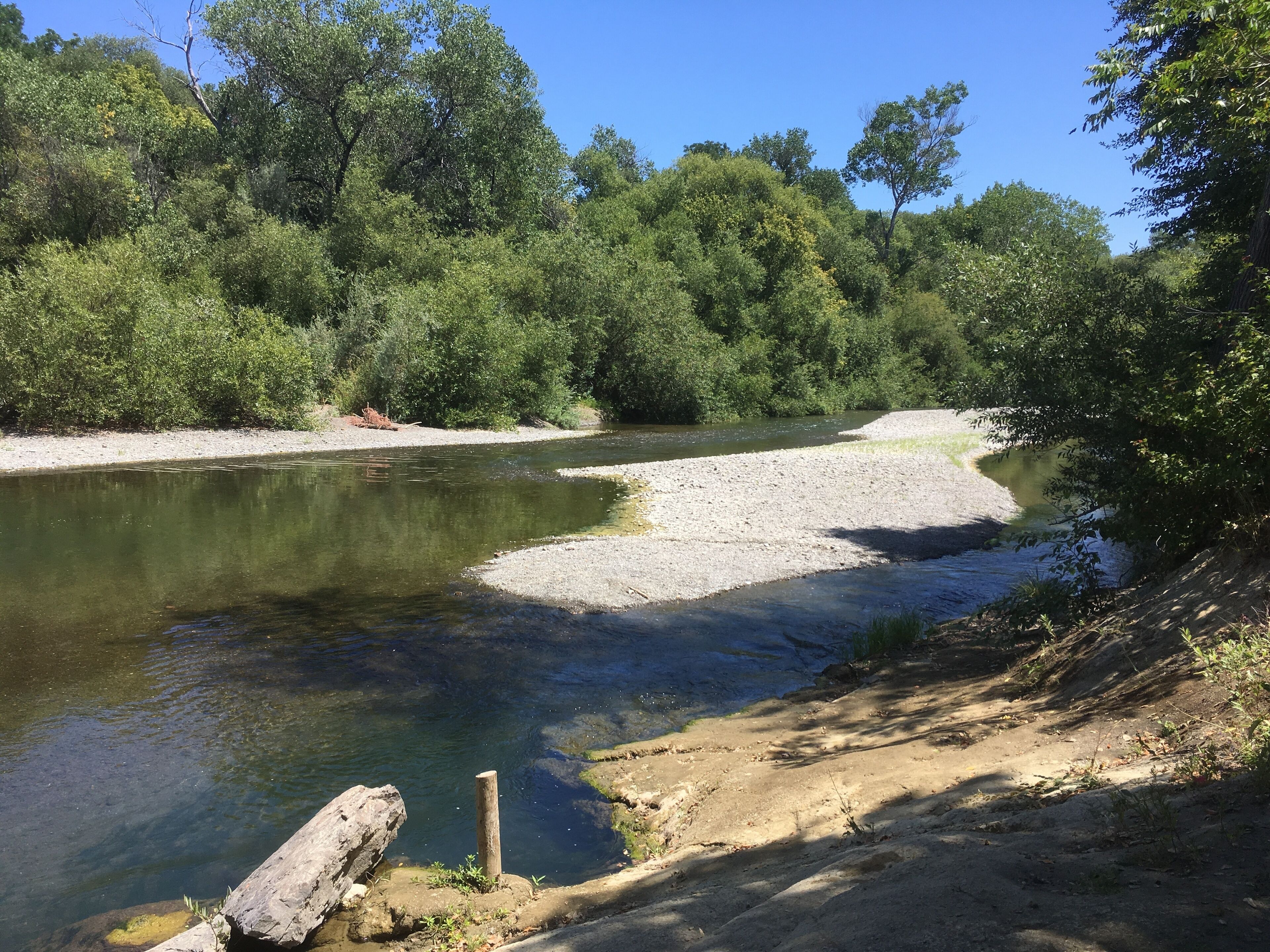 A river surrounded by dense greenery and a clear sky.