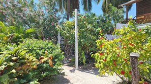 Stroll through the serene garden, surrounded by vibrant flowering shrubs and lush greenery.