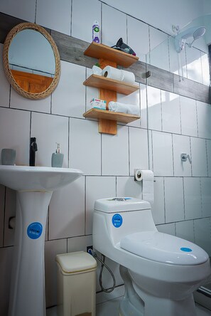Secadora de cabello, toallas, jabón, papel de baño 