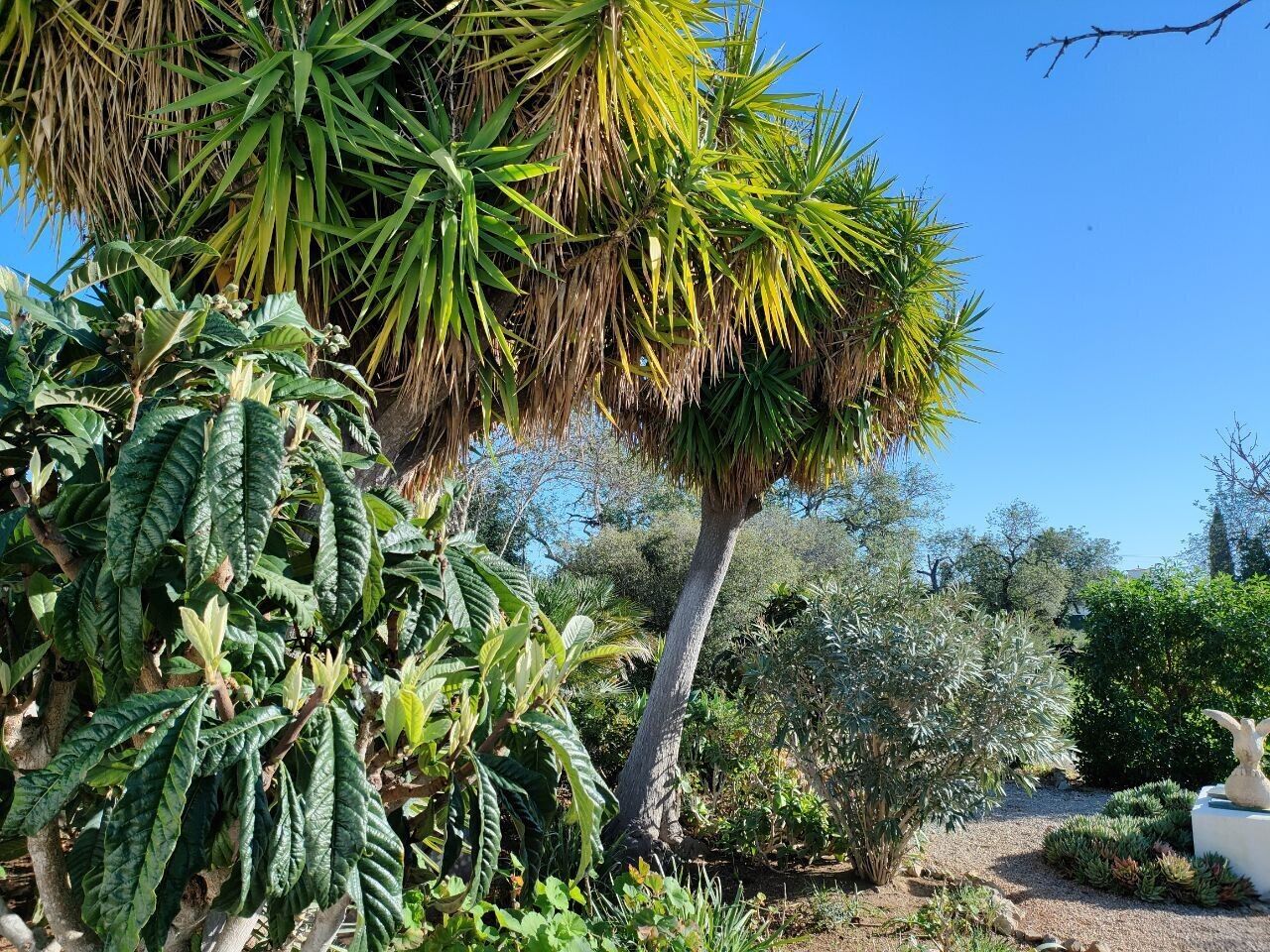 Jardines del alojamiento