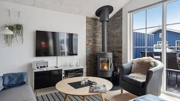 Televisión y chimenea