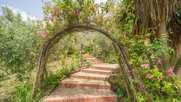 Un sentiero di pietra che si snoda attraverso un rigoglioso giardino con un arco coperto di vite.