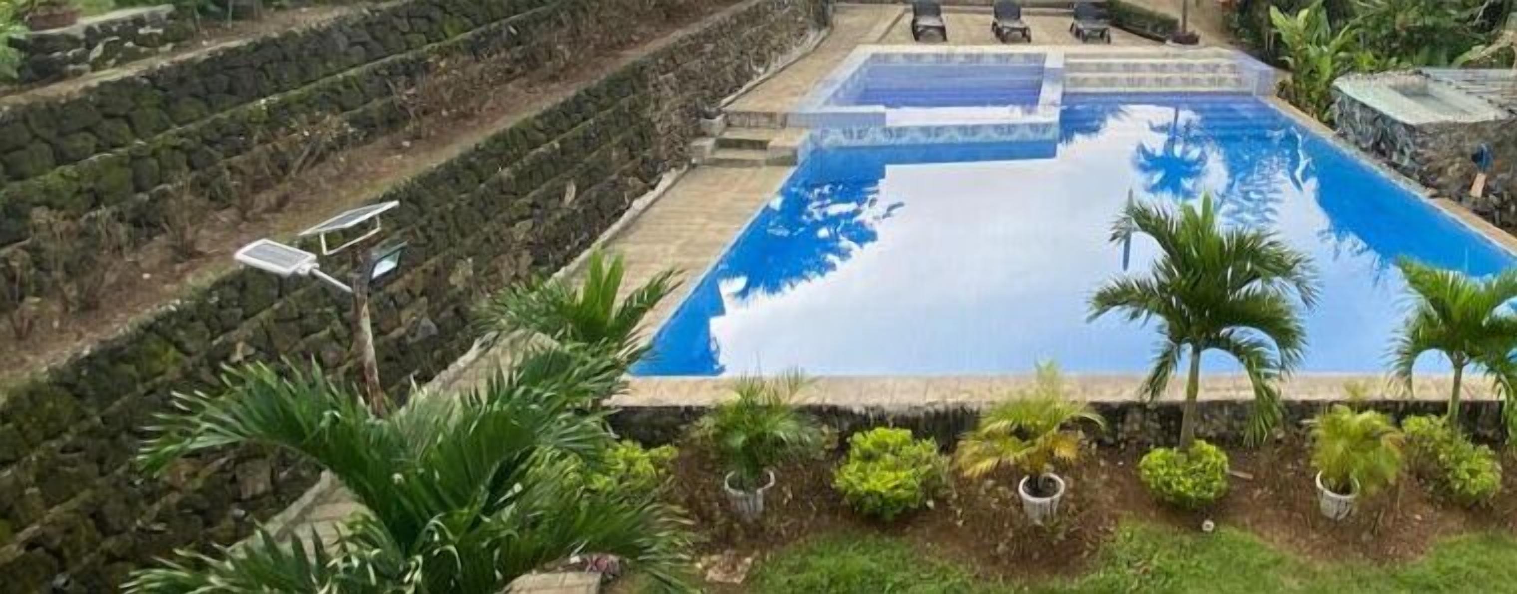A swimming pool with a stone border, surrounded by palm trees and other greenery.