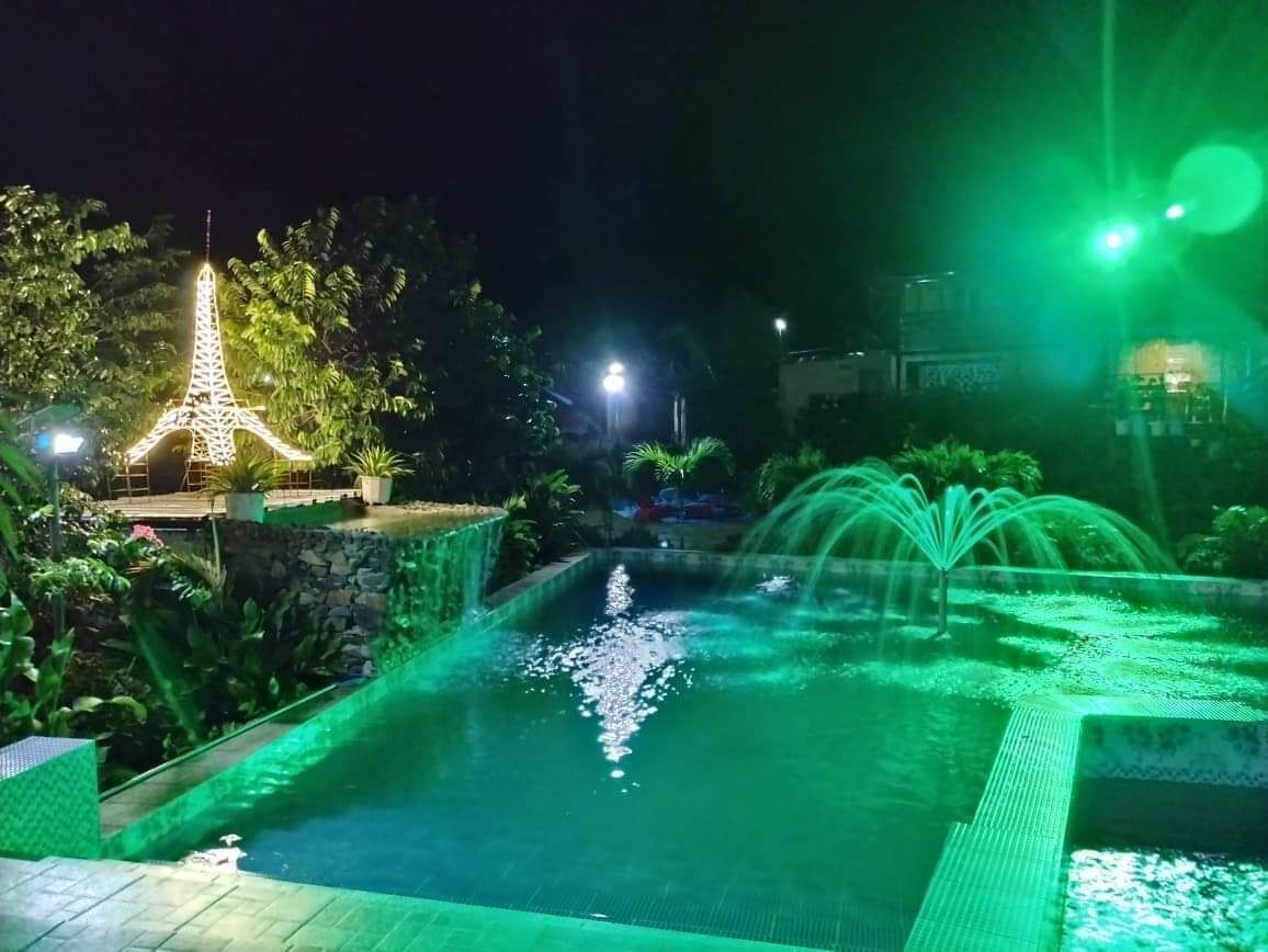 A nighttime view of a swimming pool with a fountain, surrounded by greenery and a lit-up Eiffel Tower replica.