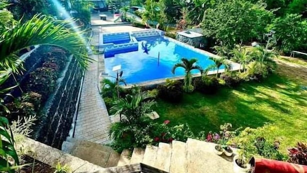Une piscine entourée d’une végétation luxuriante, avec un escalier menant à un bâtiment.