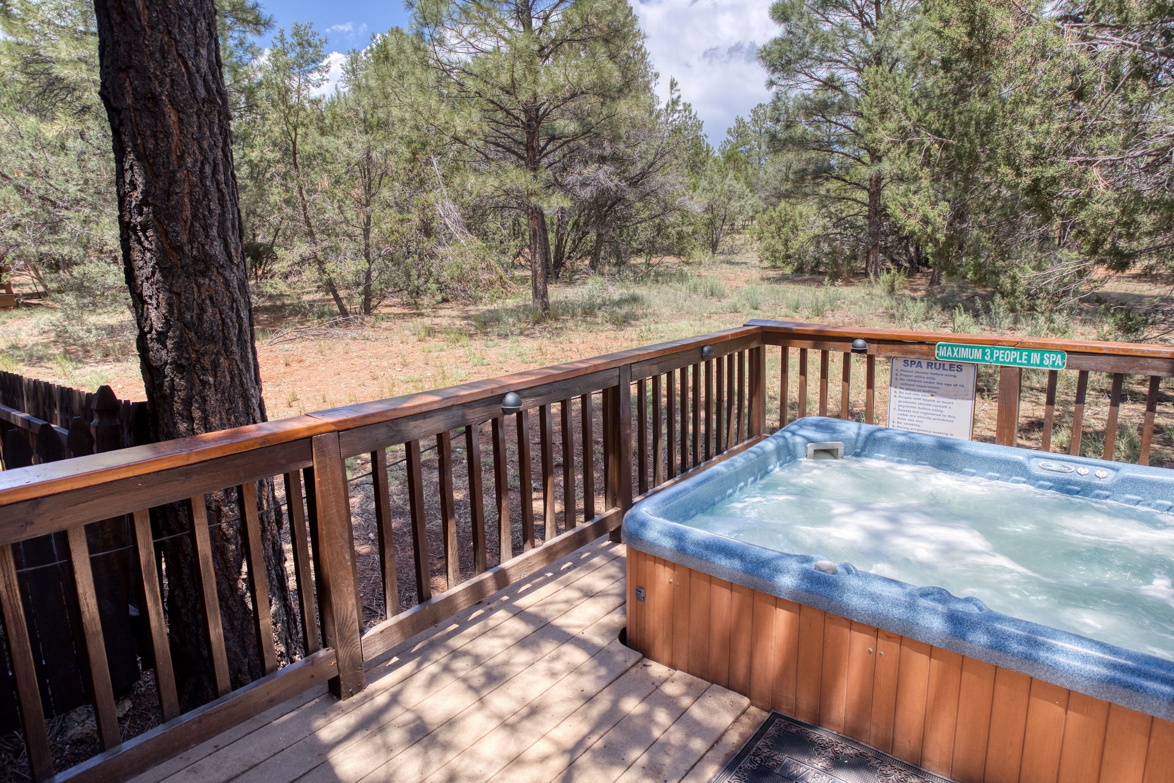 Baignoire à remous extérieure