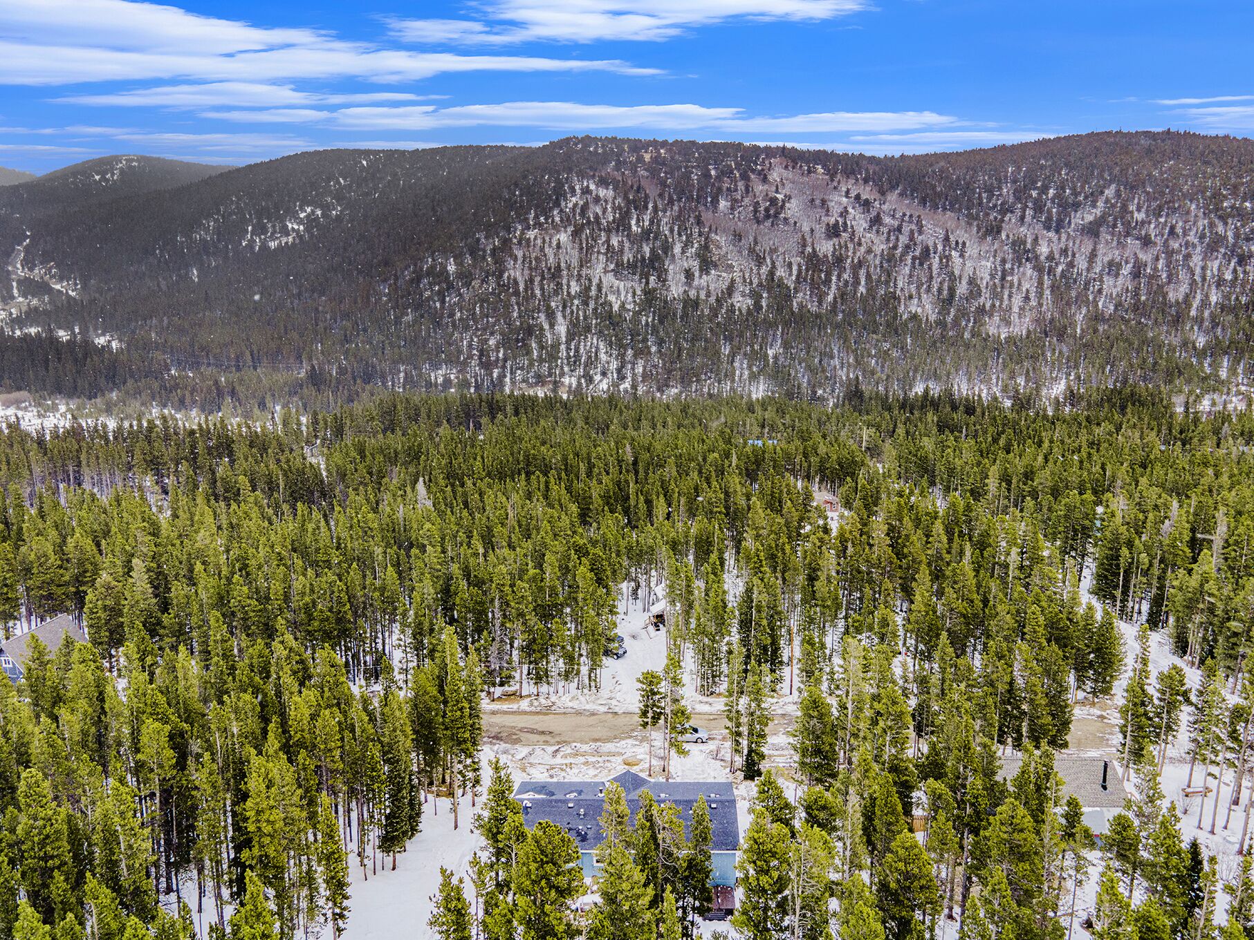 A forested area with a building in the foreground.