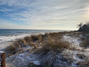 A beach with dry grass and sand, a wooden bench, and the ocean in the background. - An idyllic and comfortable vacation home on the edge of a field, 500 meters from the Baltic Sea (Neukirchen)