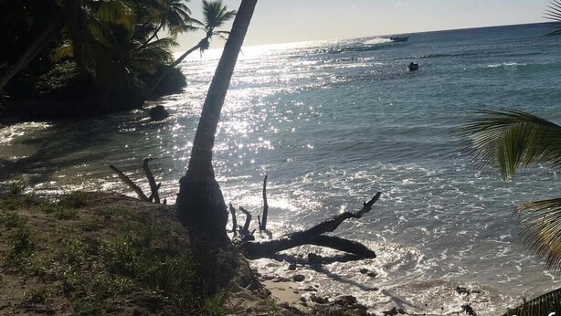 A beach scene with palm trees, clear skies, and sunlight reflecting on the water. - Lovely condo with pool near beach (La Romana)
