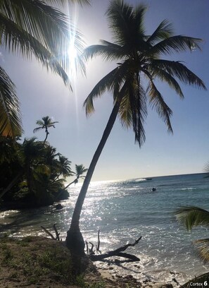 A beach scene with palm trees, clear skies, and sunlight reflecting on the water. - Lovely condo with pool near beach (La Romana)