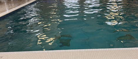 Piscine couverte, piscine chauffée
