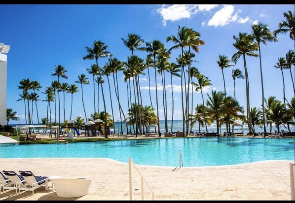 Relax by the oceanfront pool surrounded by palm trees and lounge chairs.