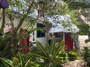 Reception - Maison Bacalar (Bacalar)