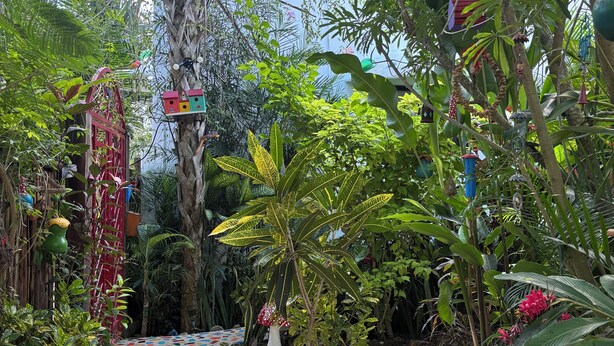A garden pathway with pebbles, surrounded by various plants and trees.