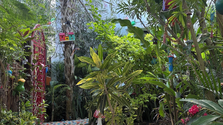 Maison Bacalar