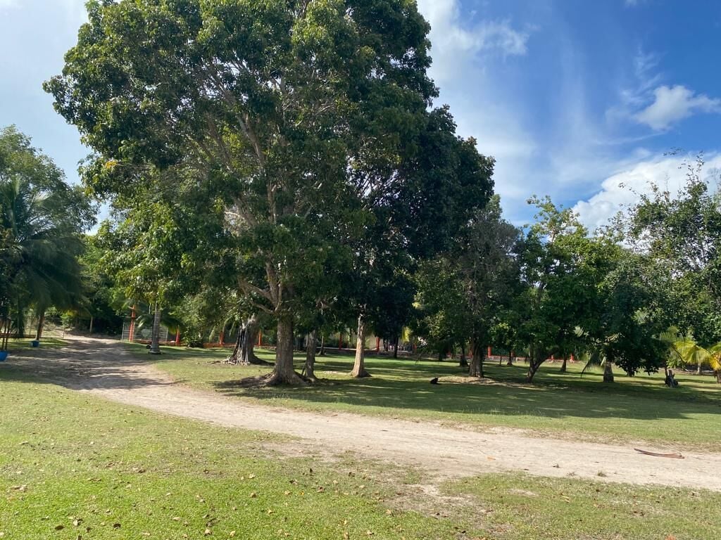 Foto - Maison Bacalar