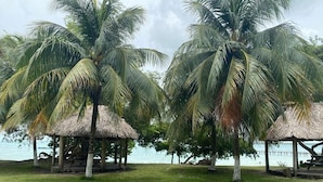 A beach area with palm trees and thatched-roof structures.