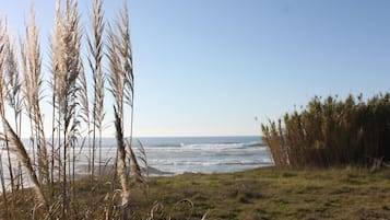 Nær stranden, parasoller og strandhåndklær