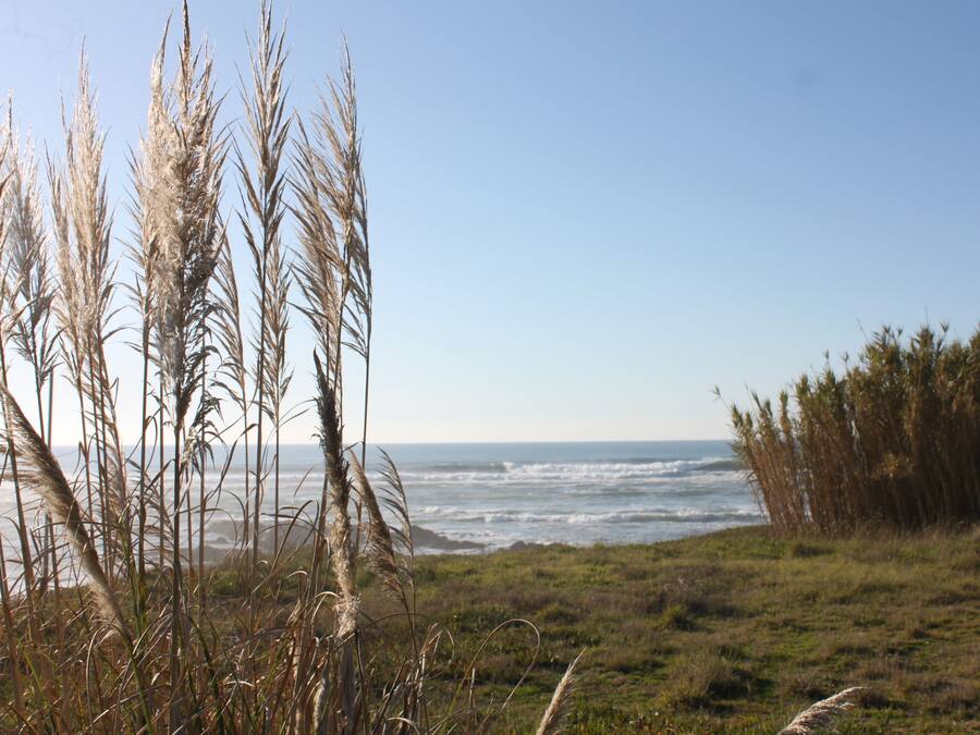 Perto da praia, guarda-sóis, toalhas de praia