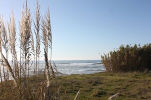 Un paysage côtier avec de hautes herbes et une vue sur l’océan.