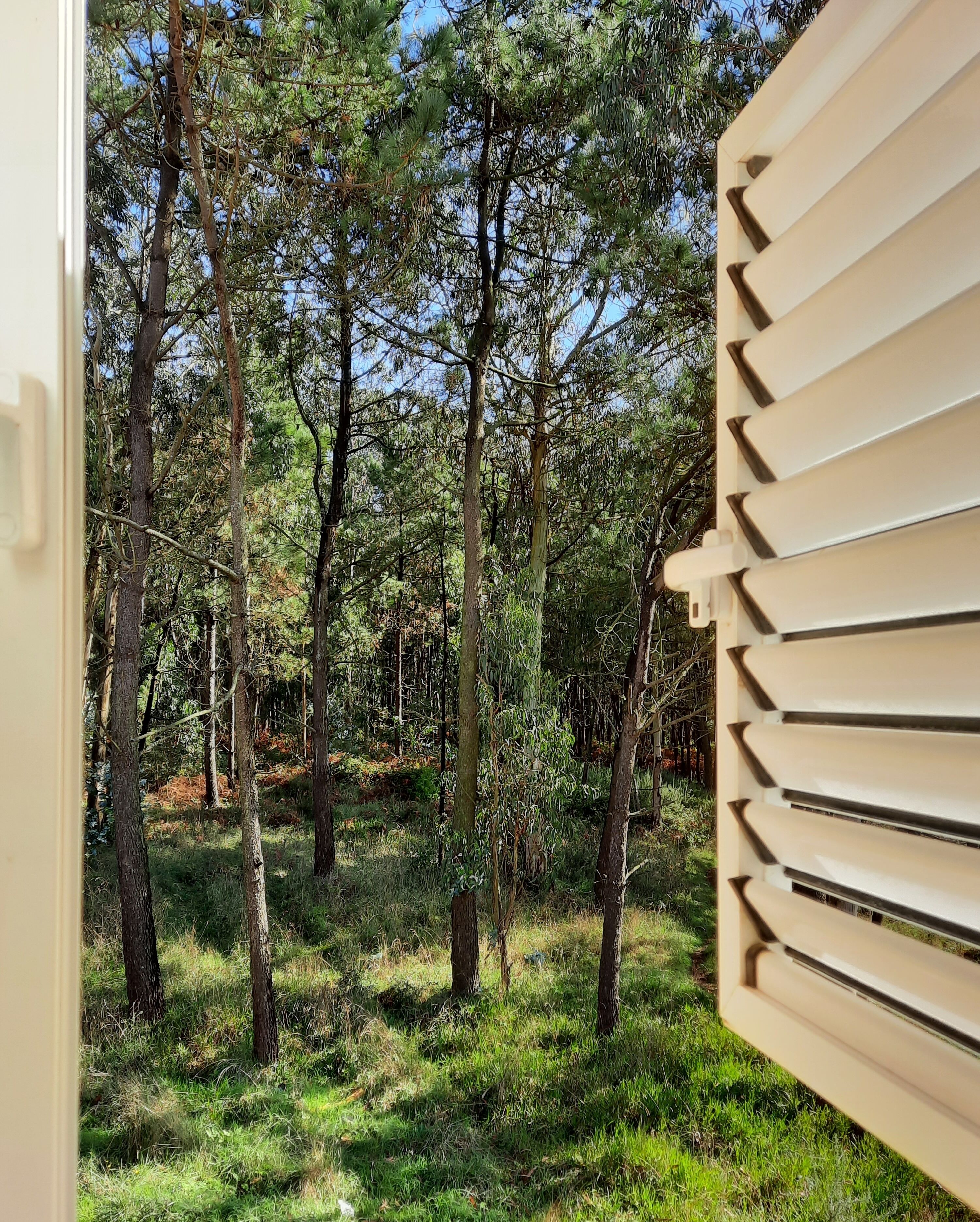 Foto - Smiling Places - Guest House in Labruge