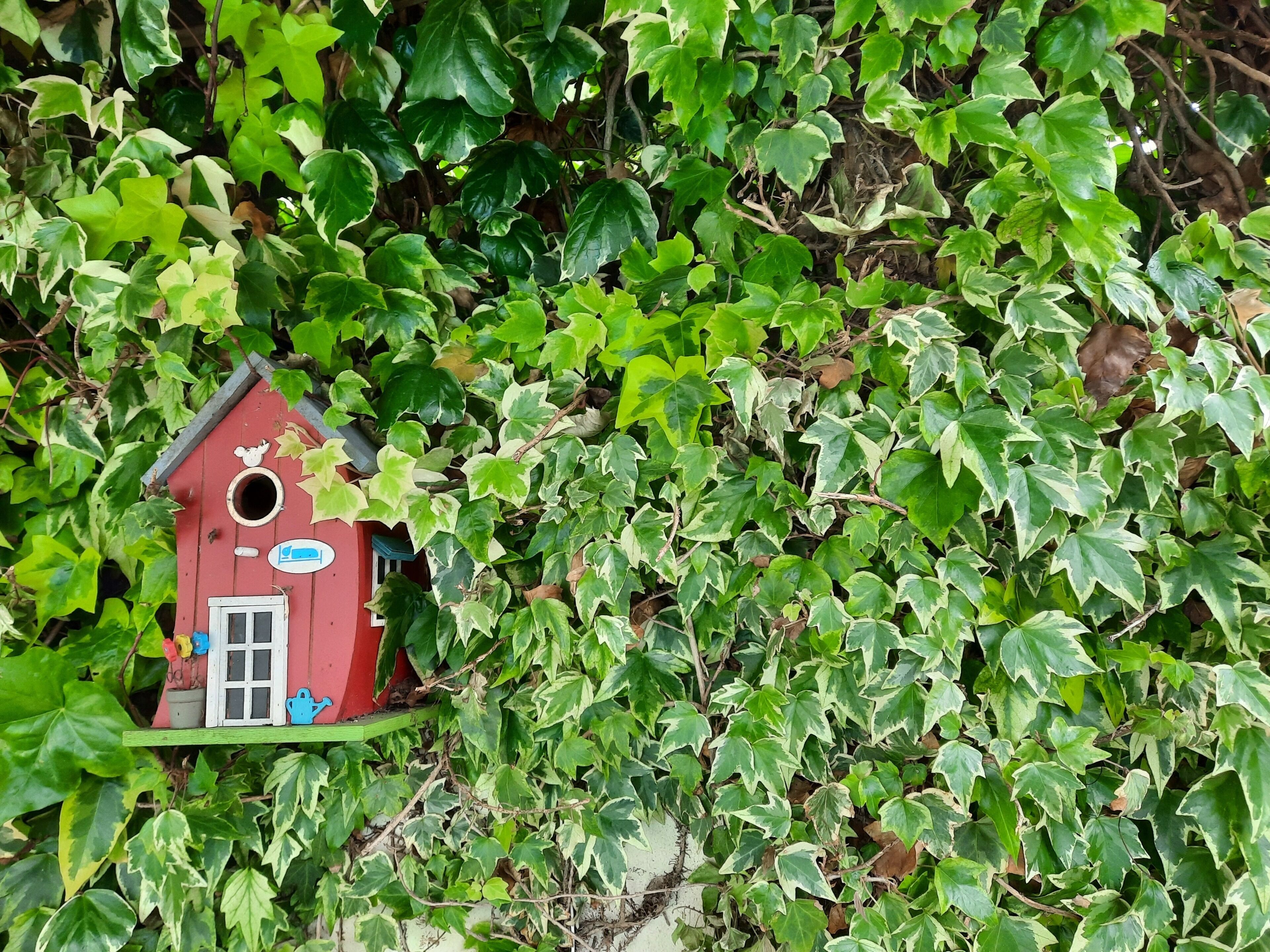 Foto - Smiling Places - Guest House in Labruge