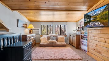 Televisión, chimenea