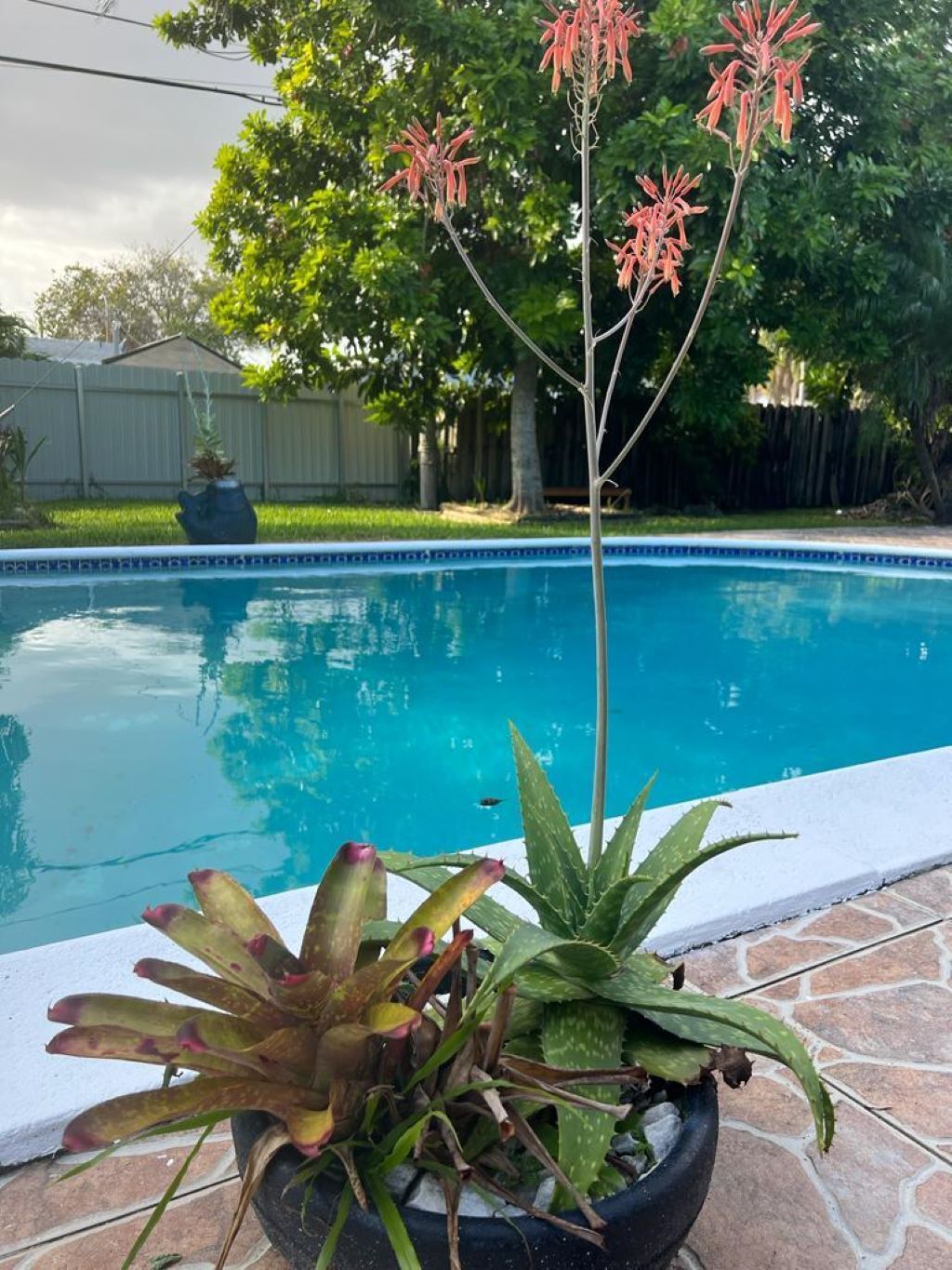 Relaxing 3 bedroom pool home