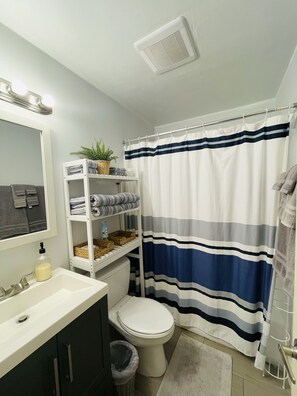Hair dryer, towels, soap, shampoo