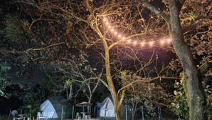 A tree with string lights, a covered seating area, and a pond. - Domo Geodésico 01 (Florencia)