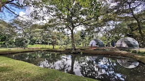 A serene outdoor setting with a pond, trees, and two dome-shaped structures. - Domo Geodésico 01 (Florencia)