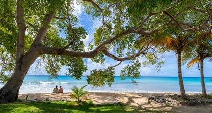 Chateau De Mar Summer Specials 2025 Pay 6 stay 7 | Beach View - Located in Magnificent St. Peter with Private Pool