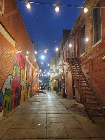 Downtown Ypsilanti 2 bedroom / 1 bath