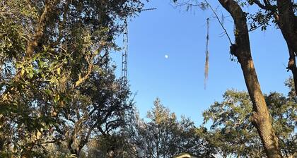 Furnished, lakefront 2/1 house in Ocala Nat'l Forest