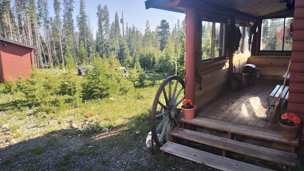 Una baita di legno con un portico, una carriola e un capanno rosso in una zona boschiva.