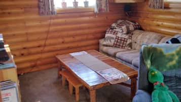 Smart TV, fireplace, DVD player, books