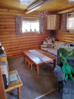 Smart-TV, peis, DVD-spiller og bøker