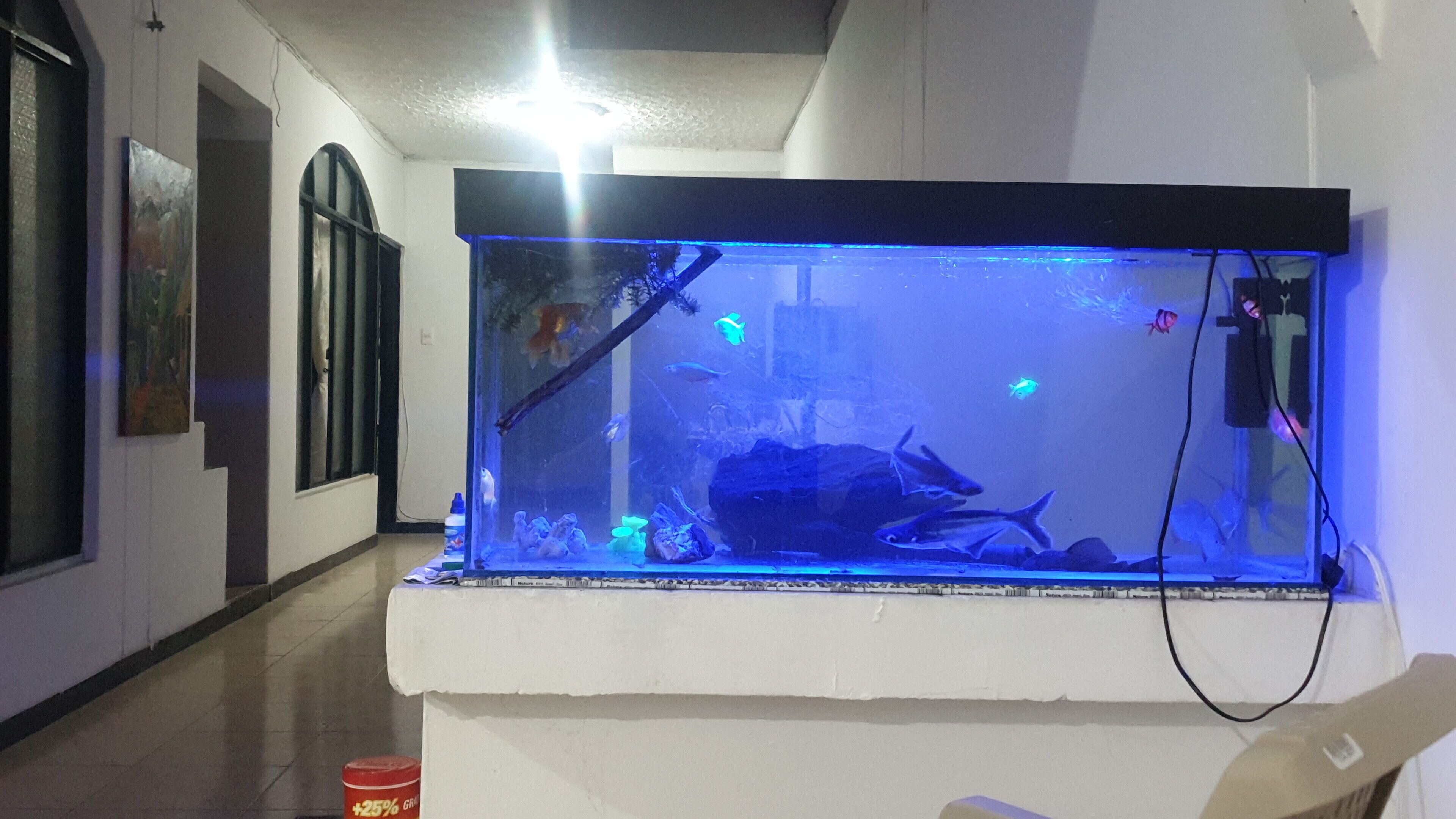 Foto - Mom's house Colombia