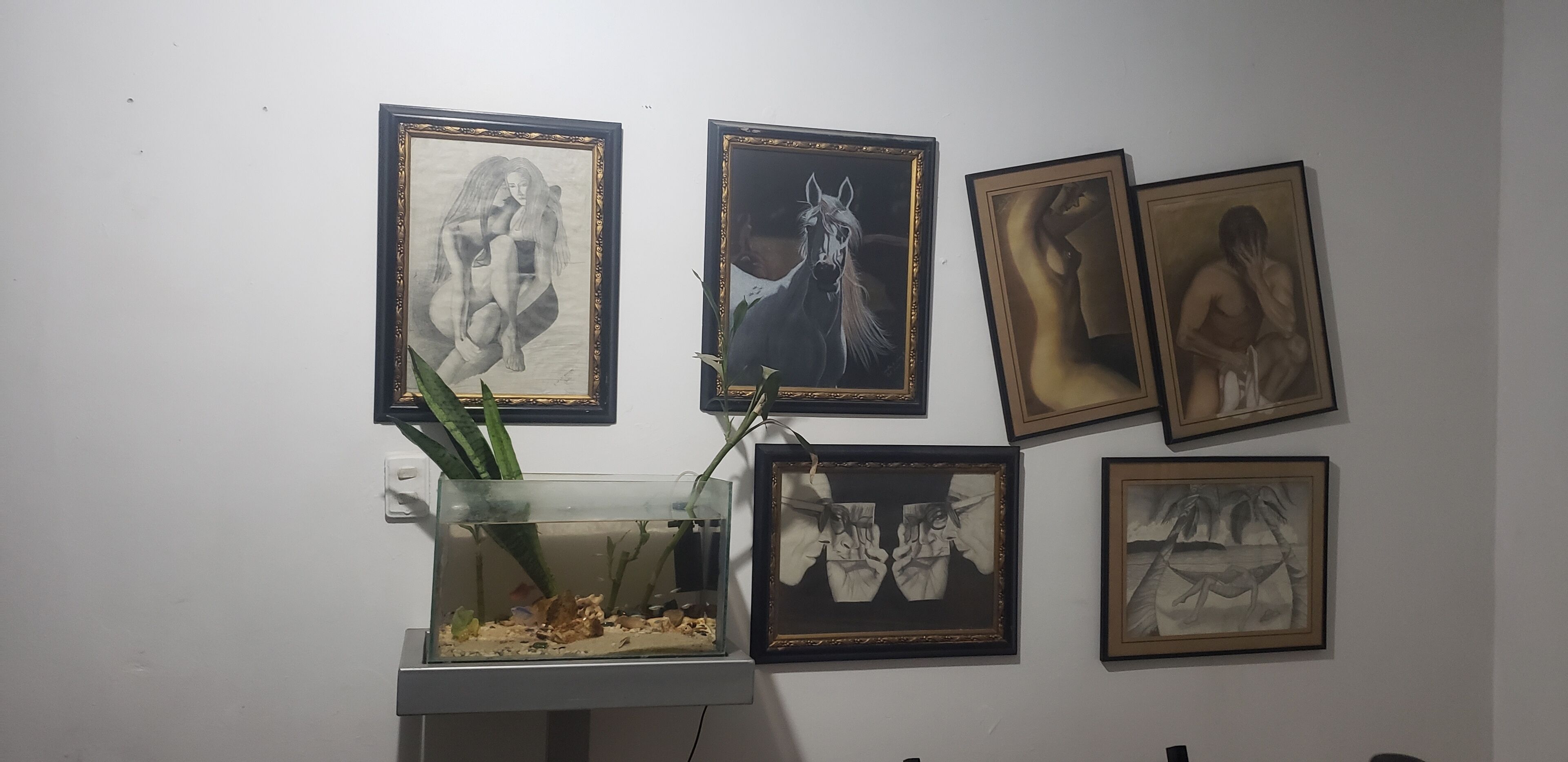 Foto - Mom's house Colombia