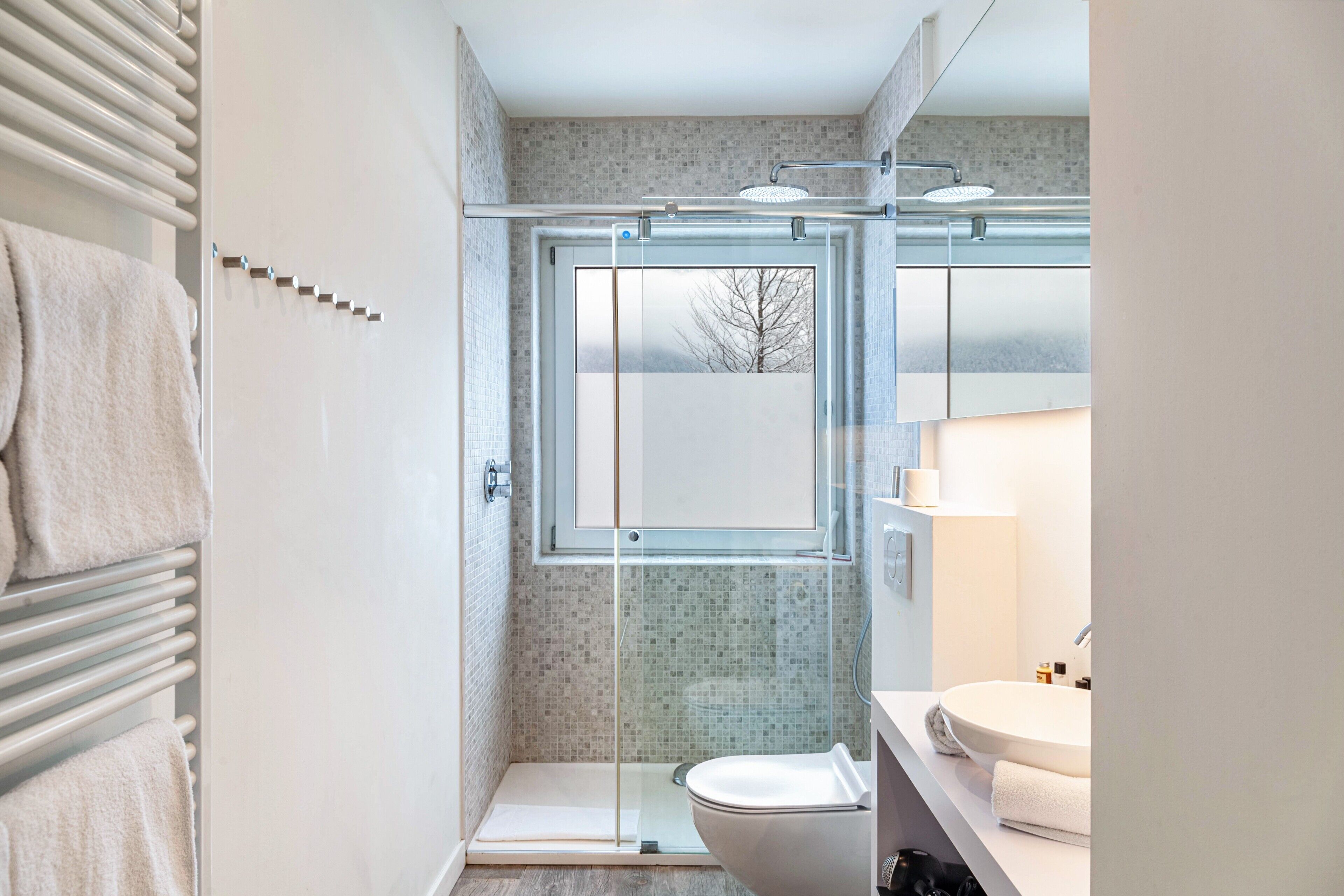 Shower, hair dryer, towels