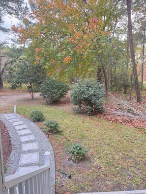 Terrain de l’hébergement 