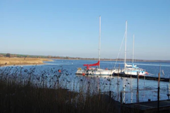 Un puerto deportivo con varios veleros amarrados.