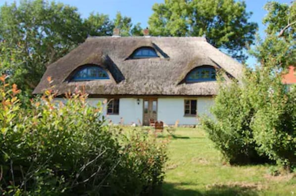 Eksteriør