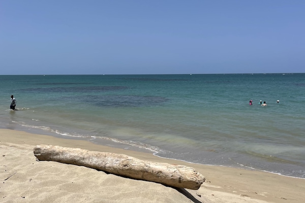 Sea’z the day by the ocean - a sunny day enjoying the caressing tropical breeze.