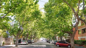 Habitación básica | Vista a la calle