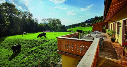 Farm above the roofs of the festival city of Salzburg | top 1